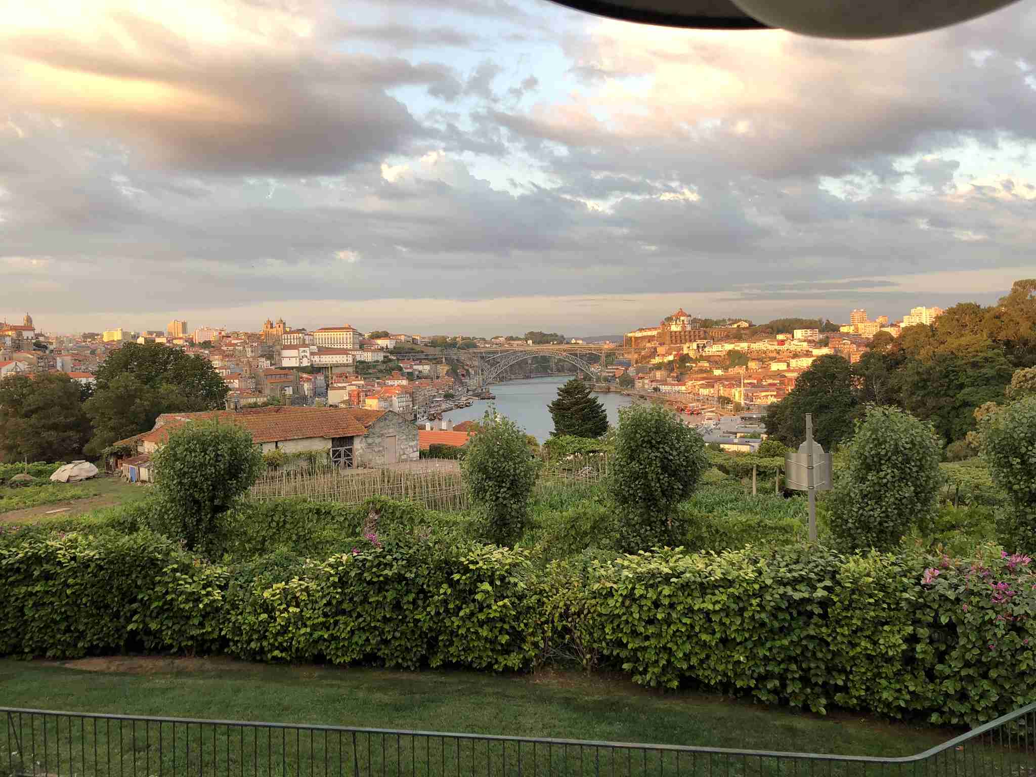 Discover It Tour to Oporto Portugal and Douro Valley