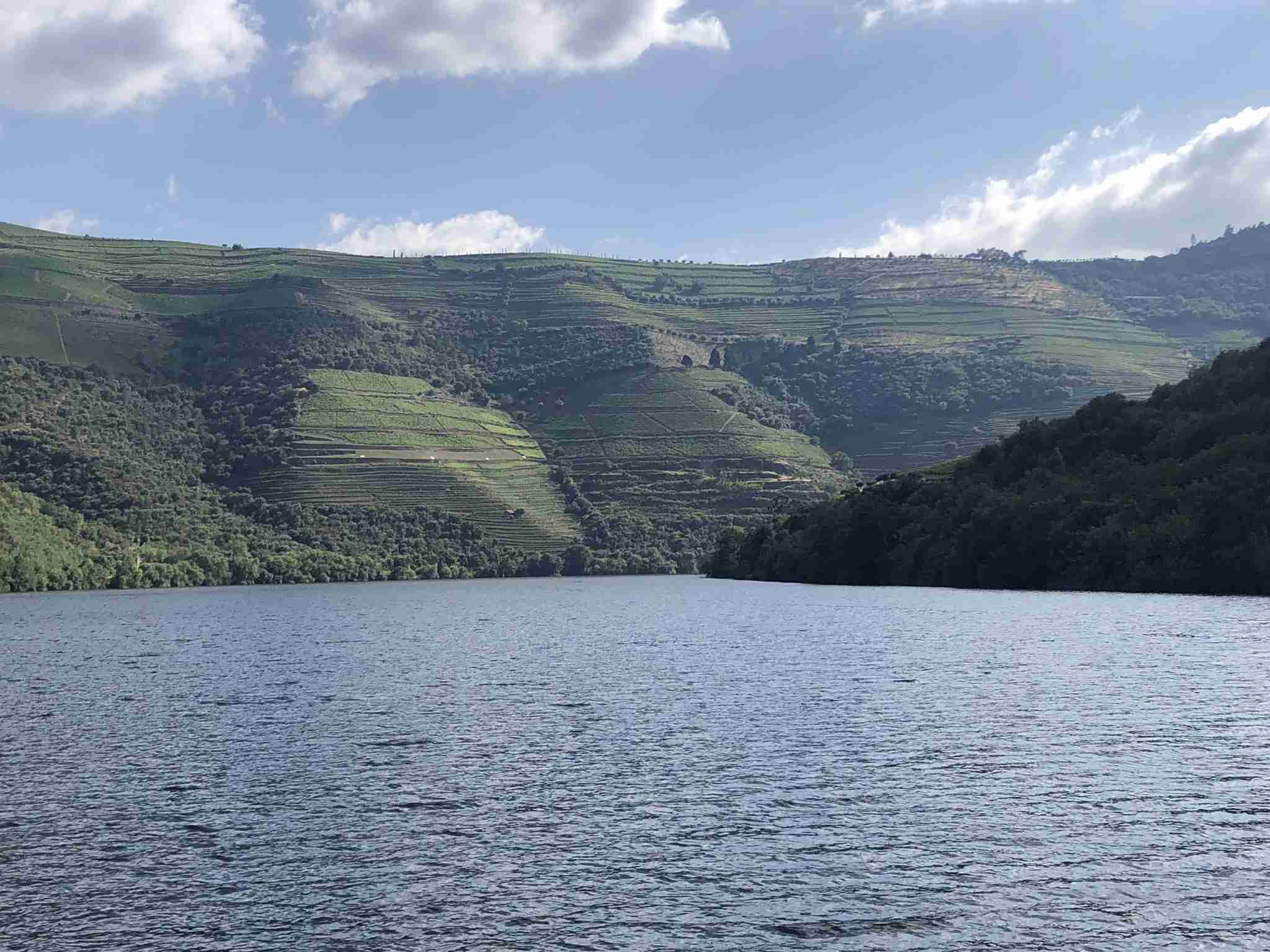 Discover It Boat Tour at the Douro Valley